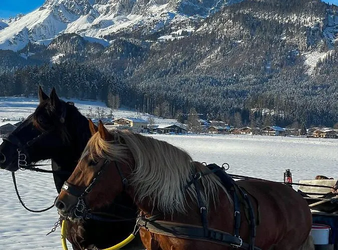 Haus Waltl * 상트조한인티롤