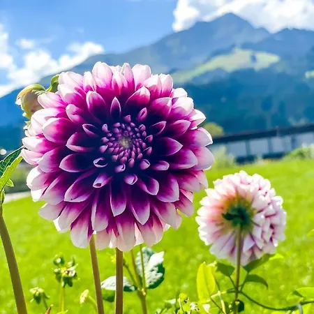 Haus Waltl Quarto em Acomodações Particulares